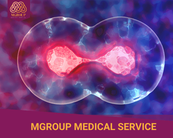 NK Cell - Liệu pháp tăng cường sức khỏe
