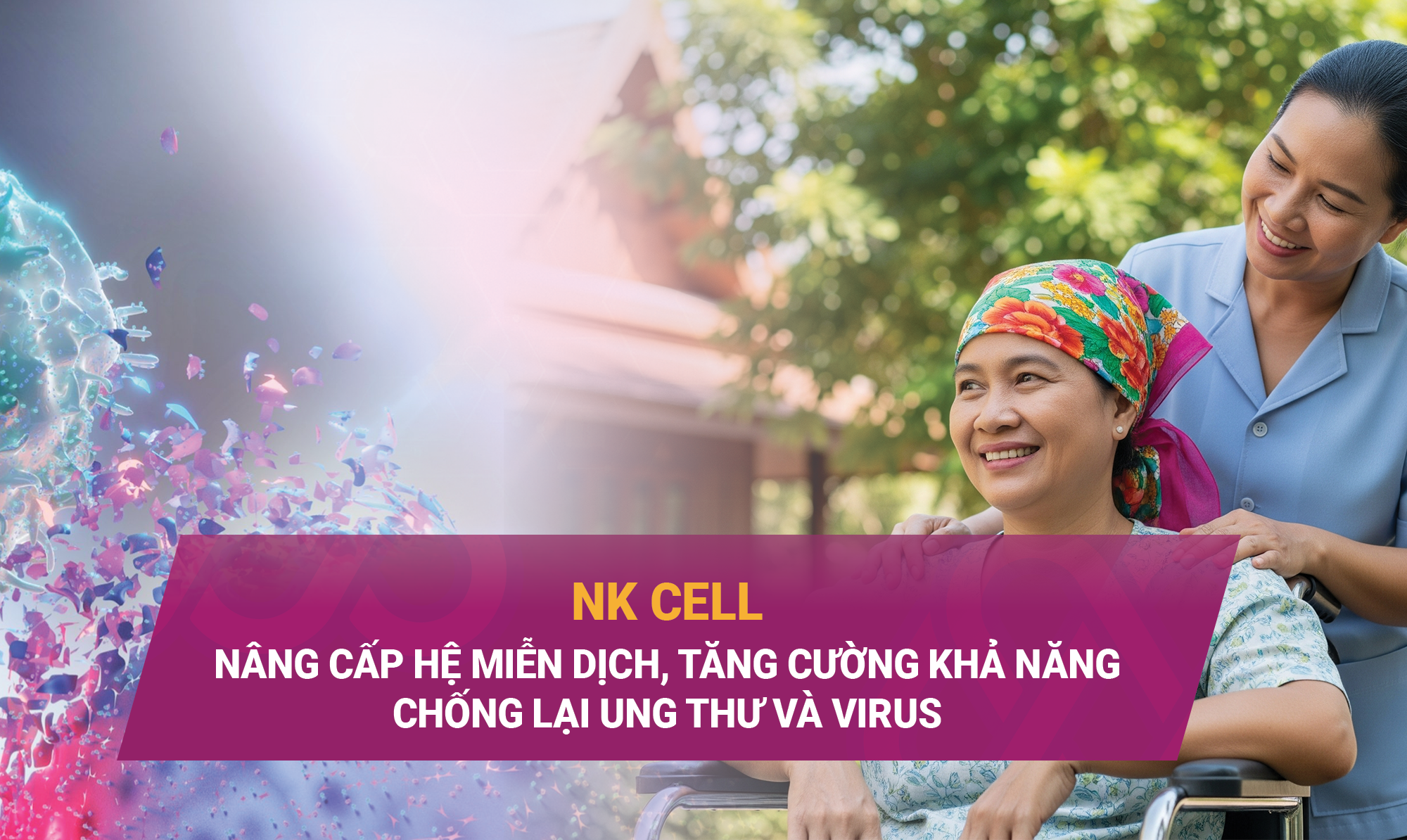 NK CELL: NÂNG CẤP HỆ MIỄN DỊCH, TĂNG CƯỜNG KHẢ NĂNG CHỐNG LẠI UNG THƯ VÀ VIRUS